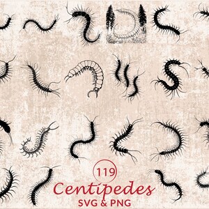 Centipedes Silhouette SVG PNG, Creepy Insect Clipart for Cricut Bug Horror Vector