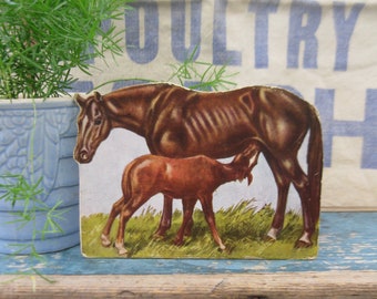 École ancienne en carton, animal de ferme, cheval de race standard