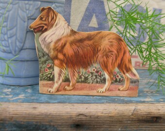 Ancien en carton, école, animal de ferme, chien colley écossais