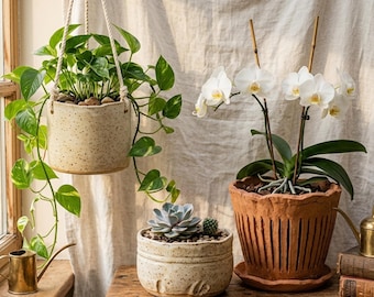 Plant Lover Pottery Bundle | 3 Slab Building Templates | Hanging Planter Succulent Pot Orchid Planter | Beginner Ceramic PDF
