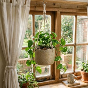 May include: A speckled beige ceramic hanging planter suspended by a thick white rope. The planter holds a lush green pothos plant with trailing vines. The cylindrical pot features a textured, earthy finish and is filled with small brown stones.