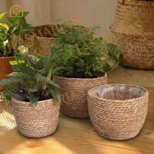 Può includere: Tre fioriere in corda intrecciata di varie dimensioni, ognuna con una pianta diversa. Le fioriere sono di colore beige naturale e hanno un aspetto strutturato. Le piante hanno un fogliame verde. Le fioriere sono su una superficie di legno.