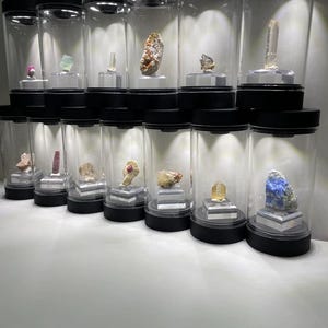 May include: A collection of twelve clear cylindrical display cases with black lids and bases, each containing a unique mineral specimen mounted on a small square stand. The cases are arranged in two rows, illuminated by internal top-mounted lights.