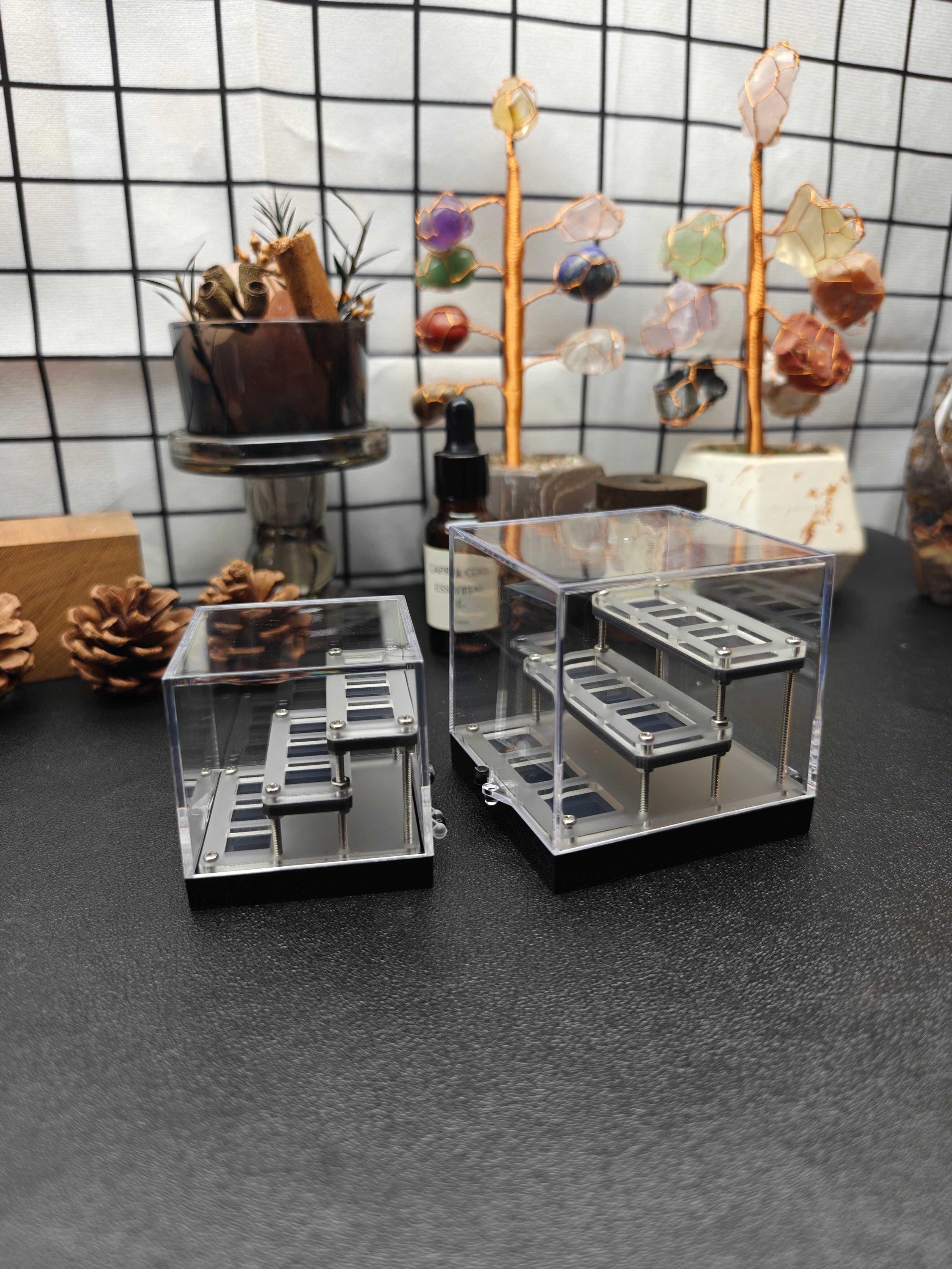 Swarovski display case - Etsy 日本