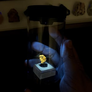 May include: A small, glowing yellow mineral specimen mounted on a square base inside a clear cylindrical display container with a black lid. The mineral emits a bright, fluorescent yellow light, contrasting with the dark, dim surroundings.