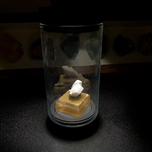 May include: A small white bird figurine sits atop a translucent amber-coloured square base, enclosed within a clear cylindrical glass display container with a black lid. The object is illuminated from above, highlighting the white bird and base.