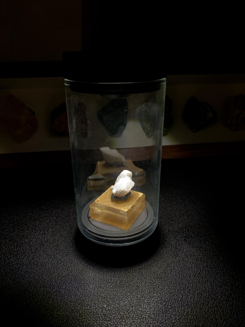 May include: A small white bird figurine sits atop a translucent amber-coloured square base, enclosed within a clear cylindrical glass display container with a black lid. The object is illuminated from above, highlighting the white bird and base.