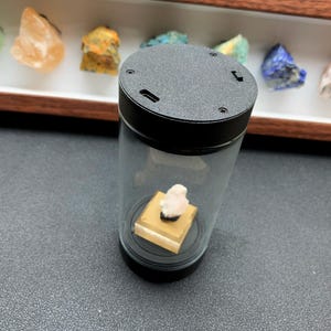 May include: A cylindrical display case with a black top and base, featuring a clear glass body. Inside, a small, pale pink mineral specimen sits atop a square, tan-colored pedestal. The black top includes a small port and visible screw heads.