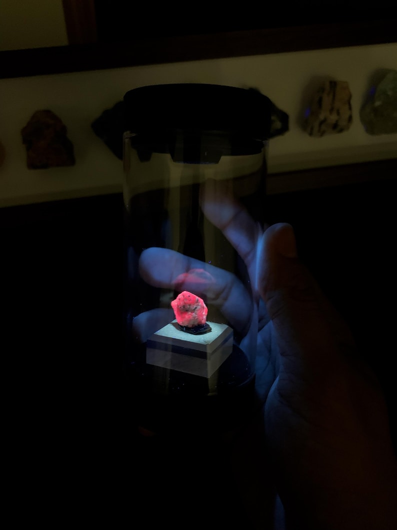 May include: A small, glowing neon-pink mineral specimen sits atop a square white pedestal inside a clear cylindrical display case with a black lid. The mineral emits a bright, vibrant light, contrasting against the dark, dim surroundings of the container.