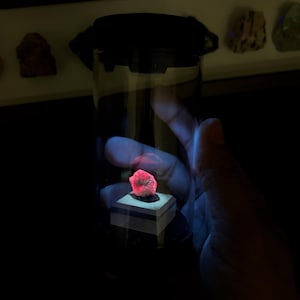 Rotating Mineral Display Tube, Dual UV White Light, Crystal Specimen Storage image 3