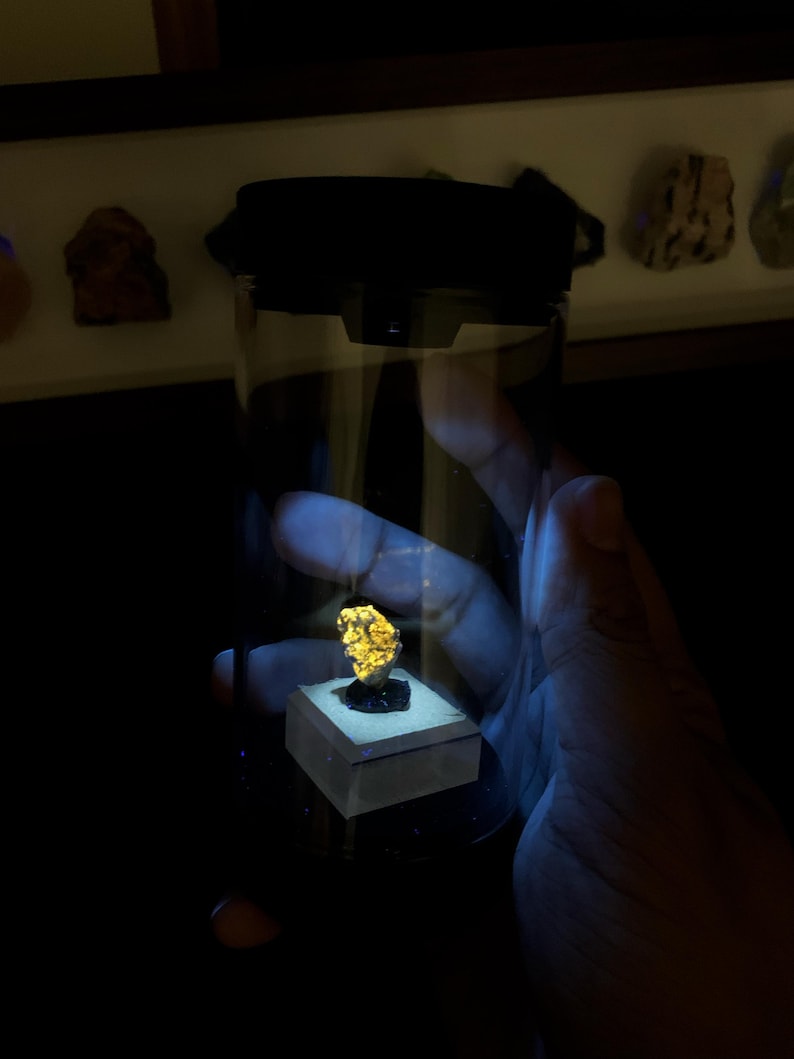 May include: A small, glowing yellow mineral specimen mounted on a square base inside a clear cylindrical display container with a black lid. The mineral emits a bright, fluorescent yellow light, contrasting with the dark, dim surroundings.