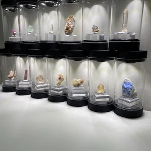 May include: A collection of twelve clear cylindrical display cases with black lids and bases, each containing a unique mineral specimen mounted on a small square stand. The cases are arranged in two rows, illuminated by internal top-mounted lights.