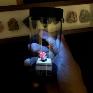 May include: A small, glowing neon pink mineral specimen is displayed inside a clear cylindrical container with a black lid and base. The mineral sits on a square white pedestal, illuminated by a bright light source within the display case.