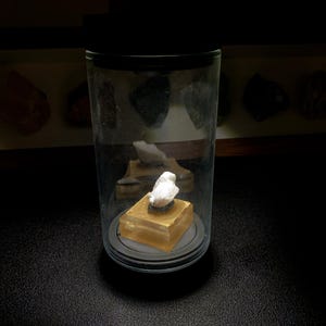 May include: A small white bird figurine sits atop a translucent amber-colored square base, enclosed within a clear cylindrical glass display container with a black lid. The object is illuminated from above, highlighting the white bird and base.