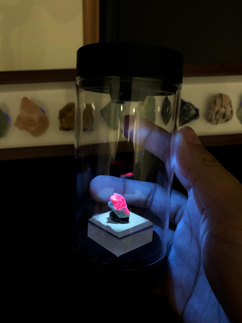 May include: A small, vibrant neon pink mineral specimen sits atop a square, light-coloured base inside a clear, cylindrical display container with a black lid. The mineral glows intensely under a blue light source, highlighting its jagged texture.
