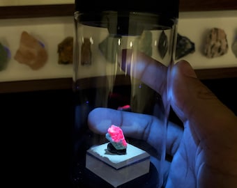 Rotating Mineral Display Tube, Dual UV White Light, Rechargeable Collector Case