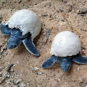May include: Three baby sea turtles hatching from their eggs on a sandy beach. The turtles are still partially inside their eggshells, with their flippers and heads visible. The eggshells are white and the turtles are dark blue and gray.