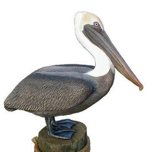 Life Size BROWN PELICAN Sculpture, limited ed. Statue
