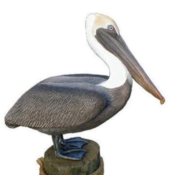 Outdoor Pelican Statue Etsy