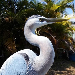 Life Size Great Blue Heron Statue, Big Wildlife Bird Crane Artist Sculpture