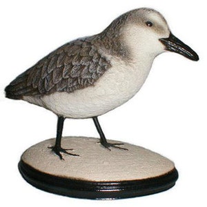 Life Size Sanderling SANDPIPER wildlife bird crane art sculpture image 1