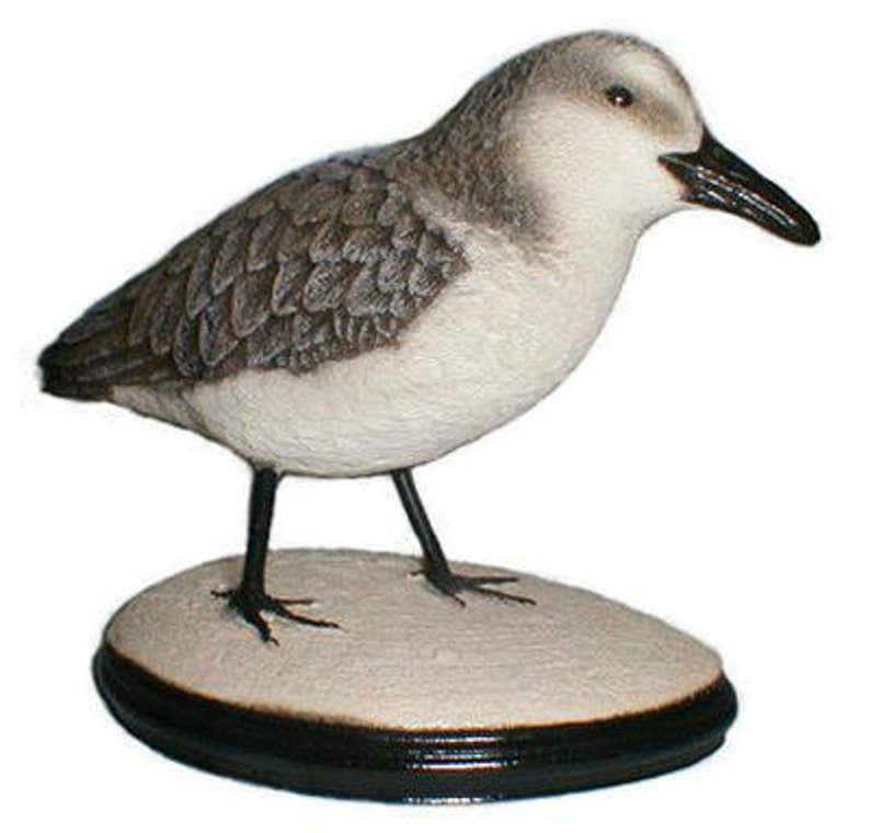 Life Size Sanderling SANDPIPER wildlife bird crane art sculpture image 1