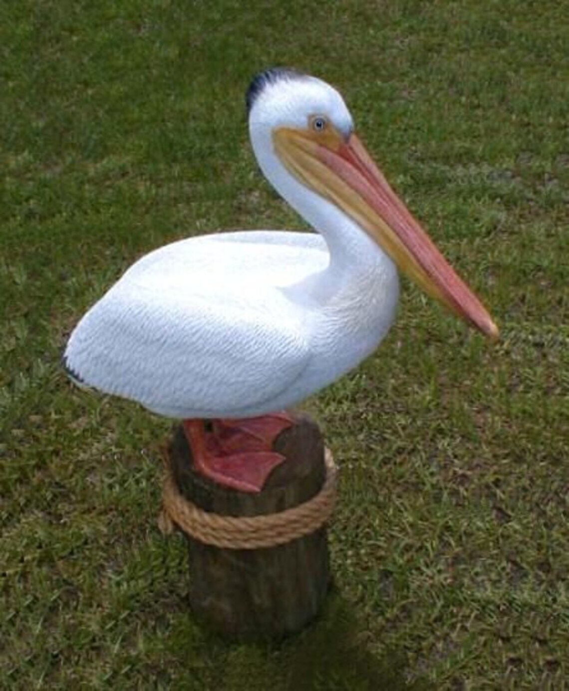 Life Size BROWN PELICAN Sculpture Limited Ed. Statue Etsy