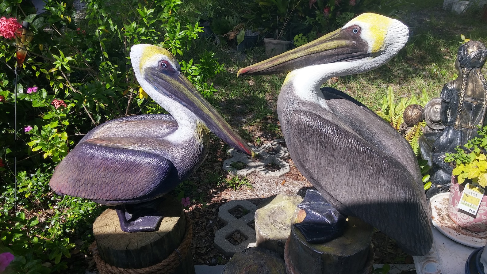 Life Size BROWN PELICAN Sculpture Limited Ed. Statue Etsy