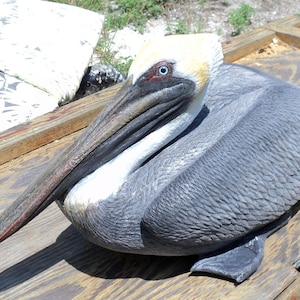 Lifesize Brown Pelican Sitting Large Statue, limited ed. Artist Sculpture