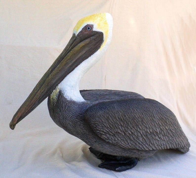 Lifesize Pelican Statue Sitting, Head up 31 Inches Long X 13w X 21h