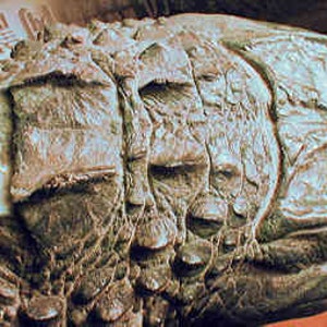 Alligator Head Sculpture image 3