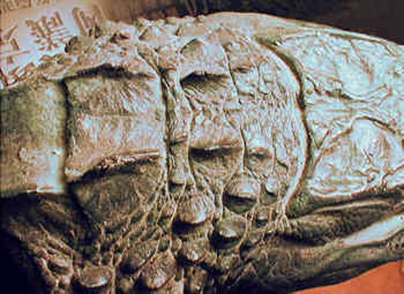 Alligator Head Sculpture image 3