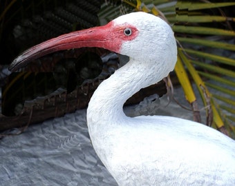 Escultura de pájaro acuático Ibis White de 12 pulgadas