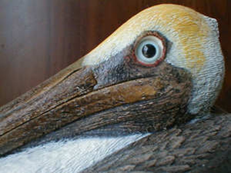 Brown PELICAN sculpture wildlife bird seashore art sculpture image 3