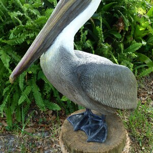 Pelican Standing Proud Statue Lifesize Artist Sculpture - Etsy