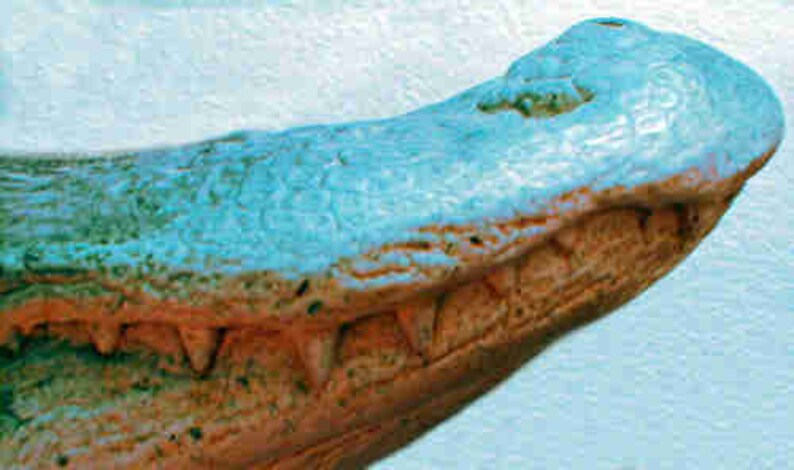 Alligator Head Sculpture image 4