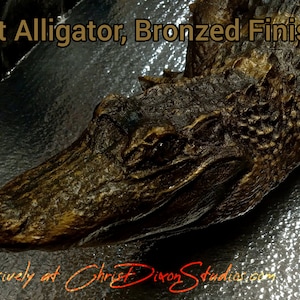 May include: A close-up of a 4ft alligator sculpture with a bronzed finish. The alligator's head is facing the viewer, and its eyes are open. The sculpture is resting on a textured surface.