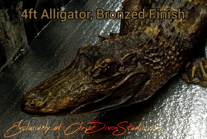 May include: A close-up of a 4ft alligator sculpture with a bronzed finish. The alligator's head is facing the viewer, and its eyes are open. The sculpture is resting on a textured surface.