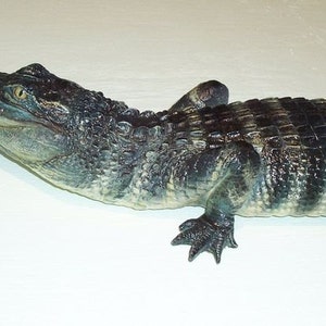 Alligator Sculpture art