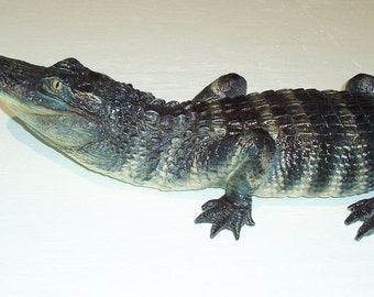 American Alligator 3-4ft: (Alligator mississippiensis) 16 x 5 x 39 in Statue