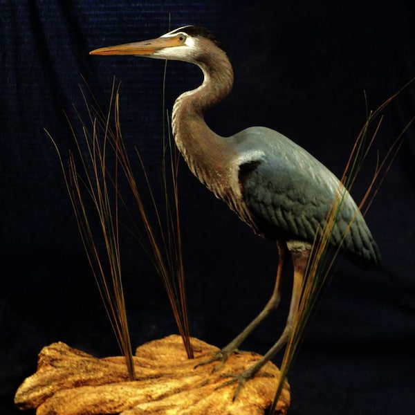 Blue Heron, egret or crane wildlife bird art sculpture