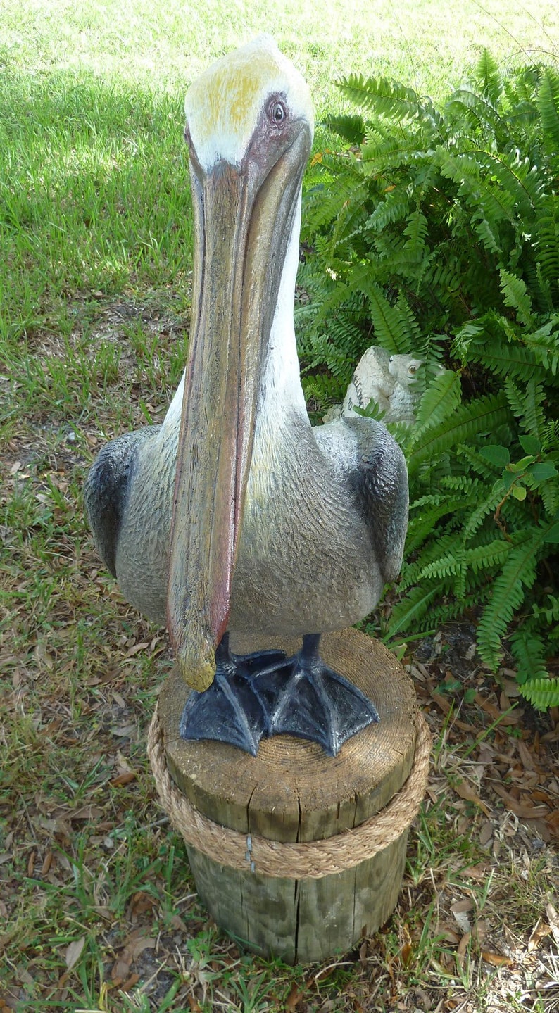 Pelican Standing Proud Statue Lifesize Artist Sculpture Etsy