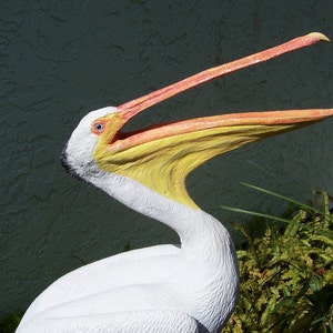 Life-sized Brown or White Pelican Statue - Open Mouth Artist Sculpture