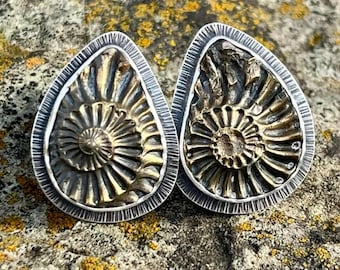 Pendientes de amonita piritizada negativa