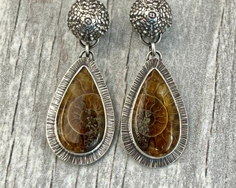 Pendientes colgantes de fósil de amonita