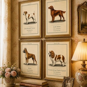 Victorian Dog Prints – Jack Russell, Irish Setter, Boxer, Cavalier Portraits