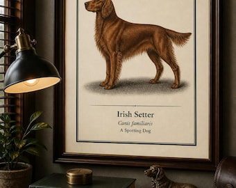 Vintage Irish Setter Dog Print – Victorian Engraving Style Wall Art