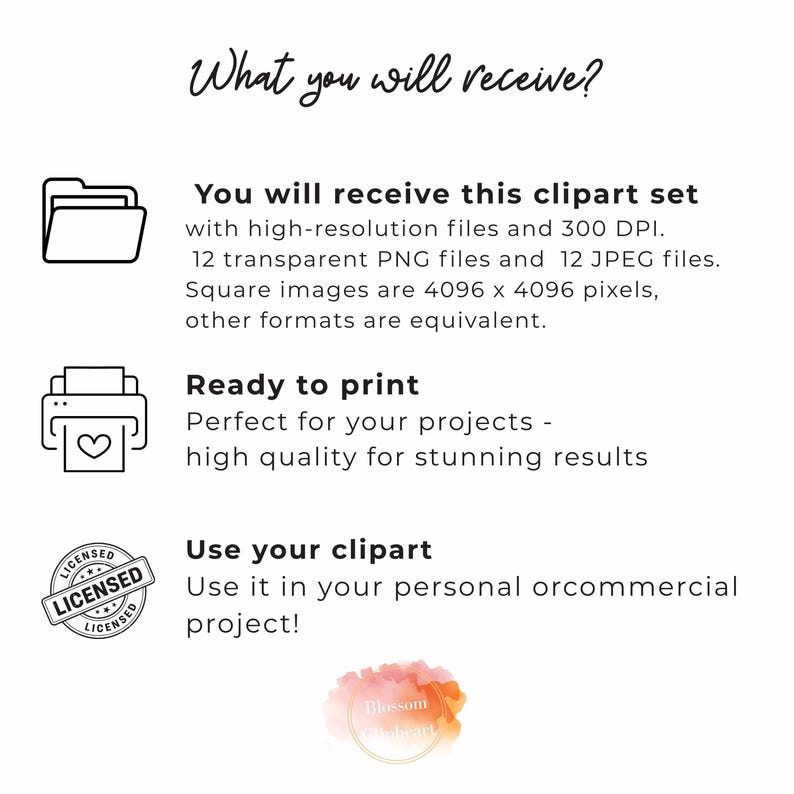 Text on a white background titled "What you will receive?" with three sections detailing file types, print readiness, and usage of the clipart set.