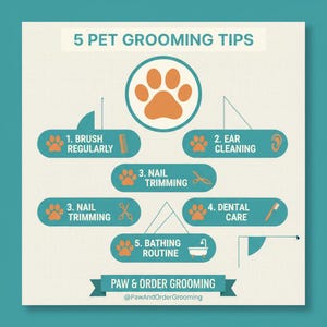 Op de afbeelding: Een infographic met teal en oranje accenten met 5 tips voor het verzorgen van huisdieren. De tips omvatten borstelen, oorreiniging, nagels knippen, gebitsverzorging en baden. De infographic is getiteld "5 PET GROOMING TIPS" en "PAW & ORDER GROOMING".