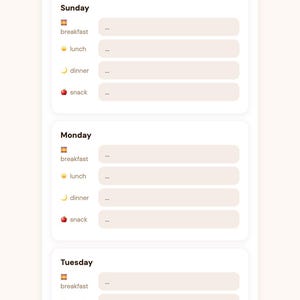 ADHD Meal Prep Planner Journal Daily Tracker Organization Interactive No Install Browser Planner Gift Digital Download image 4